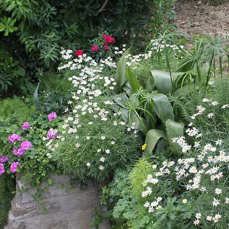 6670b Appartamento *