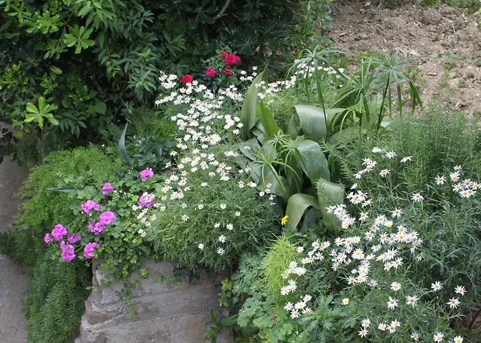 6670b Appartamento *